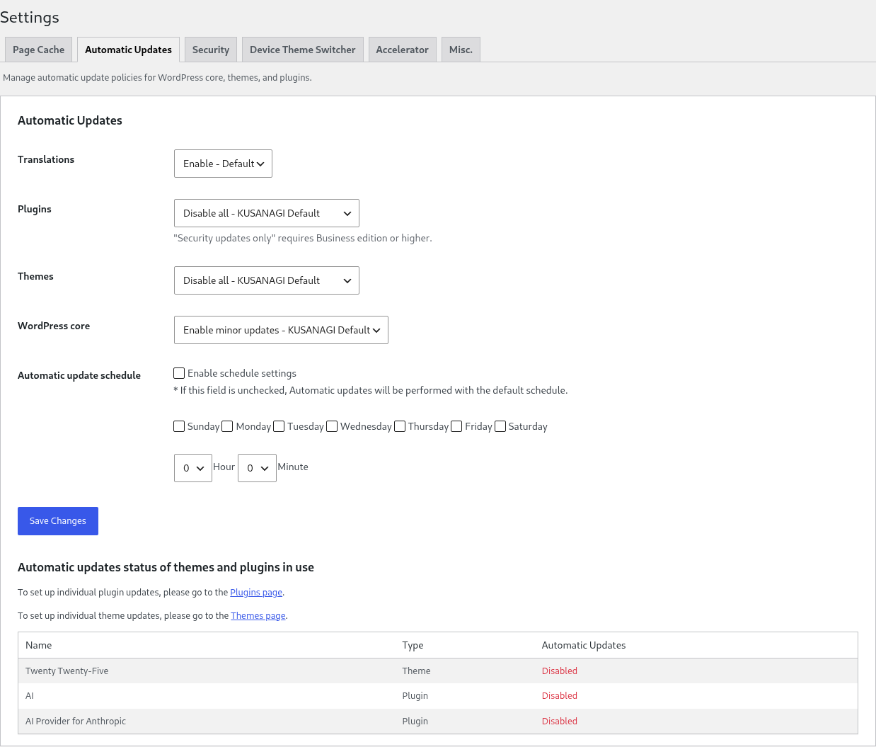 Automatic Updates screen after the required wp-config.php configuration